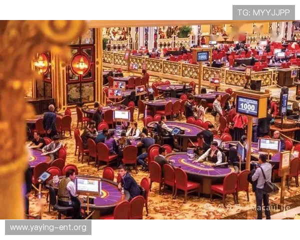 澳门棋牌真人视讯用户评价与口碑分析,揭秘受欢迎的原因和玩家真实感受 澳门棋牌真人视讯用户评价与口碑分析,揭秘受欢迎的原因和玩家真实感受