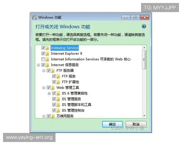 访问wpk网址官方网站官方入口，享受优质的在线服务体验